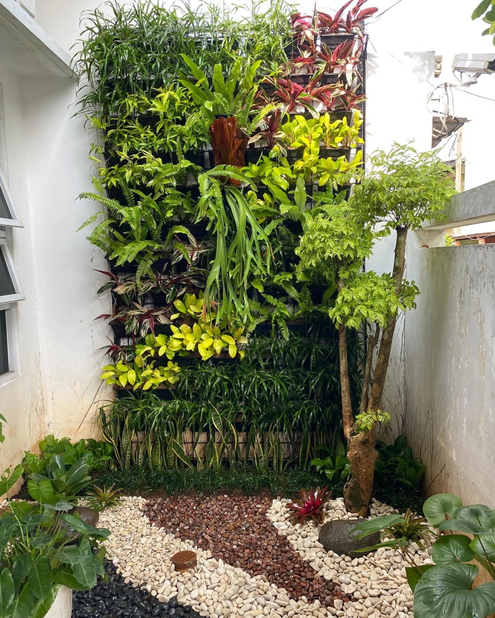 Thiết kế vườn đứng trên tường mang lại không gian xanh mát cho ngôi nhà