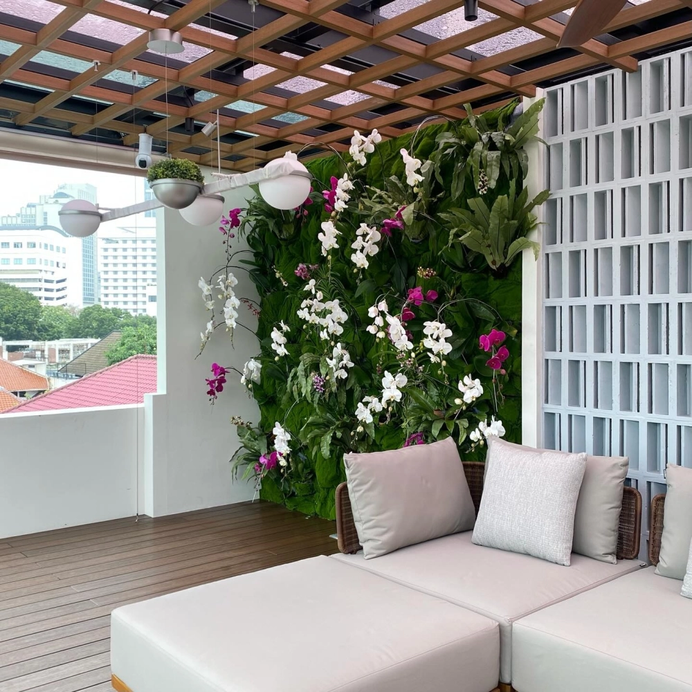 Hướng dẫn kỹ thuật trồng vườn đứng bền đẹp lâu dài