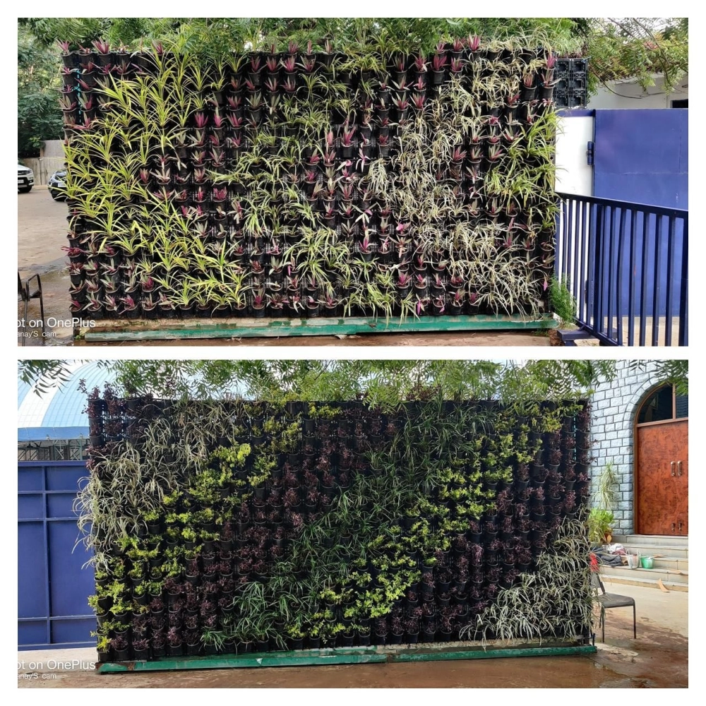 Tác phẩm vườn đứng nghệ thuật cho quán cà phê sân vườn