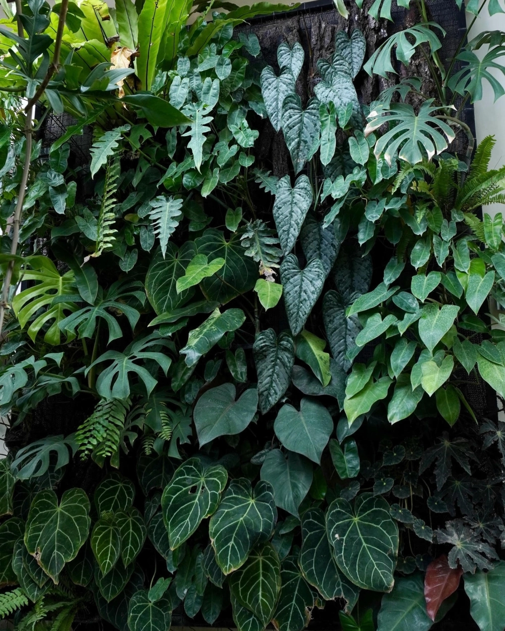 Mẫu vườn đứng ban công chung cư tối ưu diện tích nhỏ