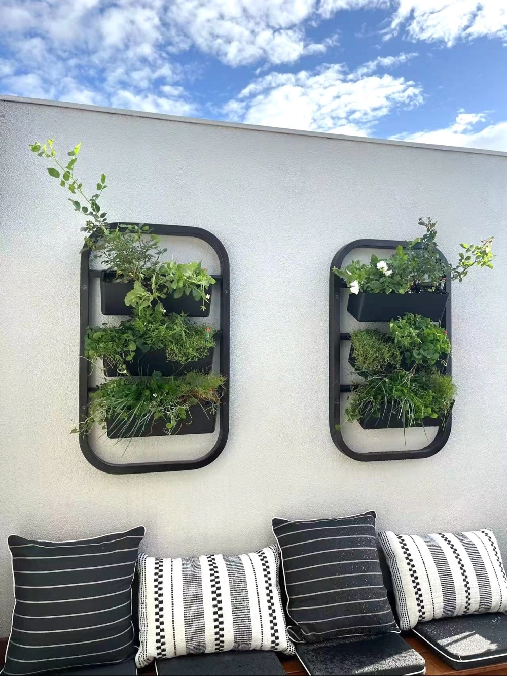 Lắp đặt hệ thống tưới nhỏ giọt vườn đứng tự động thông minh