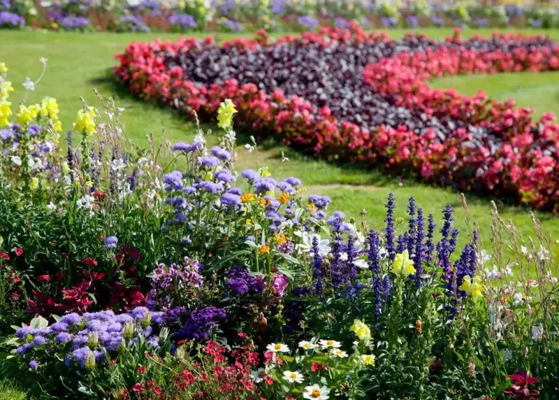 Bộ sưu tập ảnh vườn hoa đầy cảm hứng