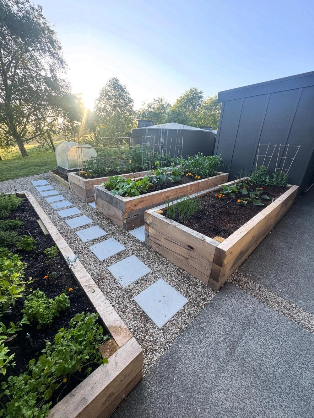 Vườn rau sạch cho nhà phố tối ưu diện tích sử dụng