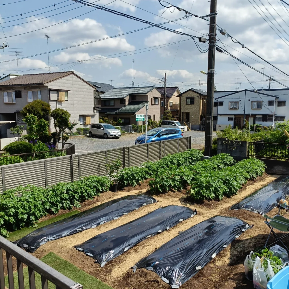 Kiểm tra kết cấu vườn trên mái đảm bảo chịu lực tốt