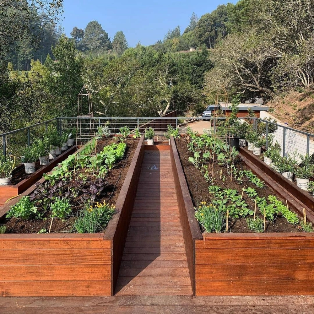 Cách duy trì vườn trên mái xanh mướt quanh năm