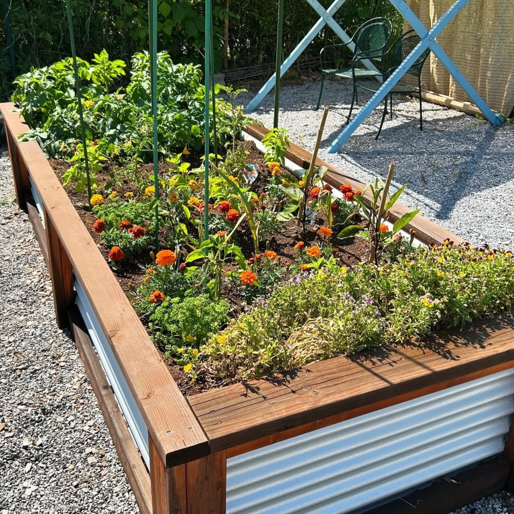 Ý tưởng vườn trên mái phong cách Nhật tinh tế và yên bình