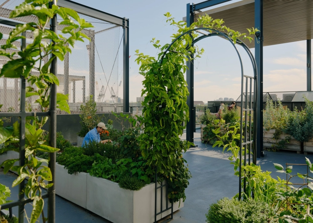 Thiết kế vườn trên mái đẹp với không gian thư giãn hiện đại