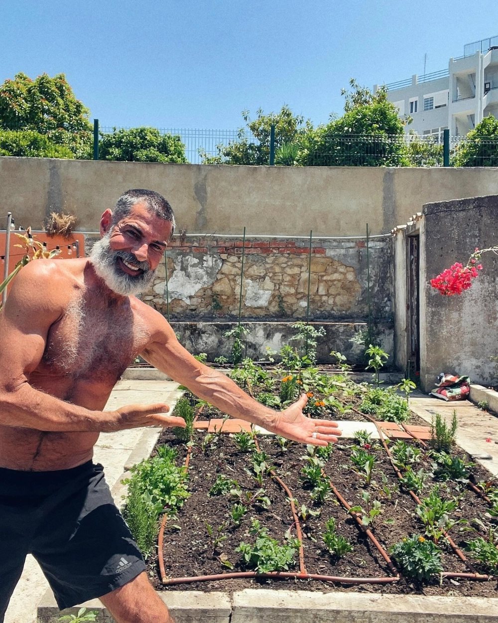 Tiểu cảnh vườn trên mái kết hợp hồ cá sinh động