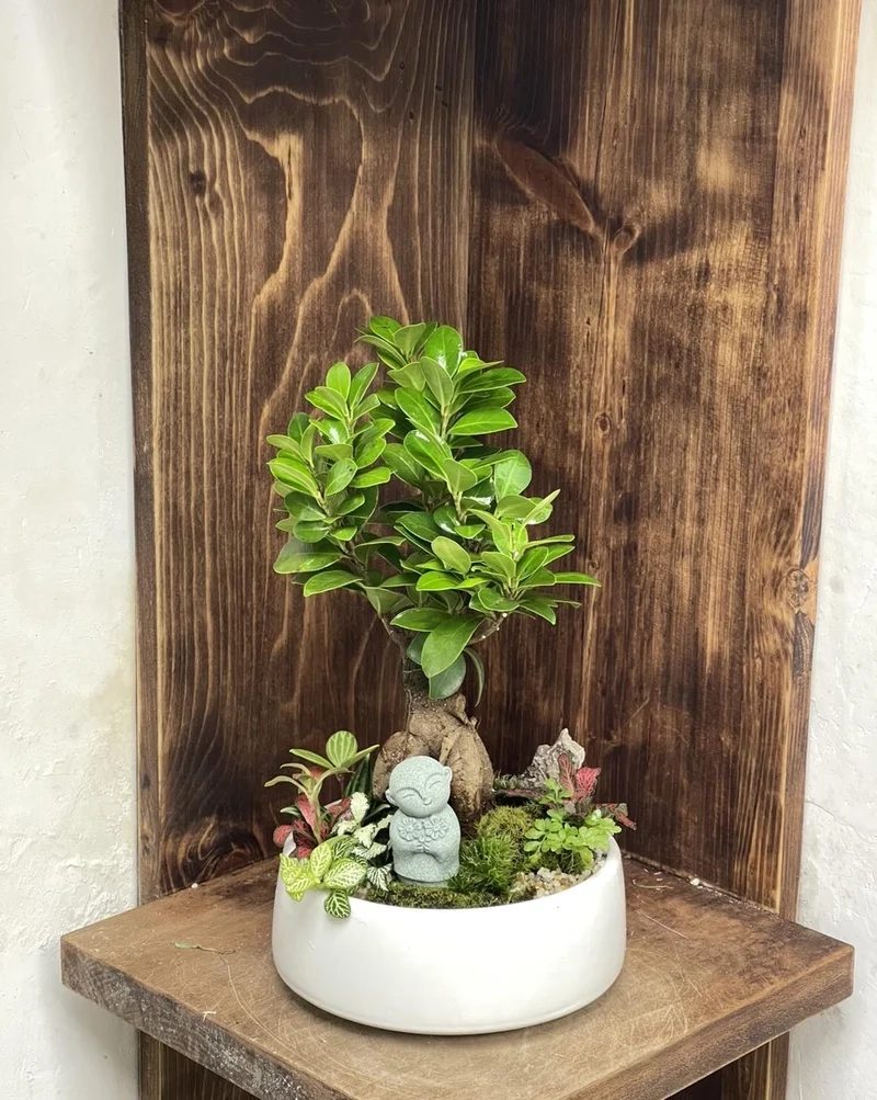 Tạo không gian xanh với bonsai trong nhà đẹp