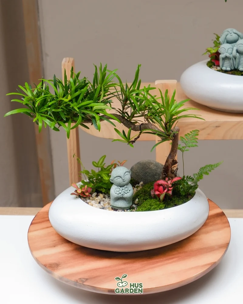 Góc xanh thư giãn nhờ bonsai trong nhà cây cảnh