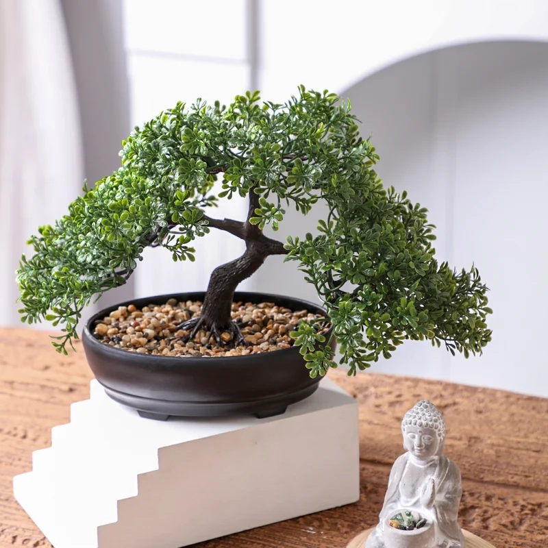Nổi bật phòng khách với bonsai trong nhà phòng khách