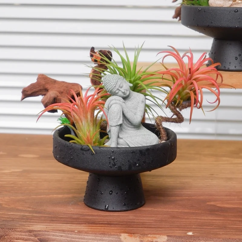 Nghệ thuật mini hoàn hảo từ bonsai trong nhà nghệ thuật