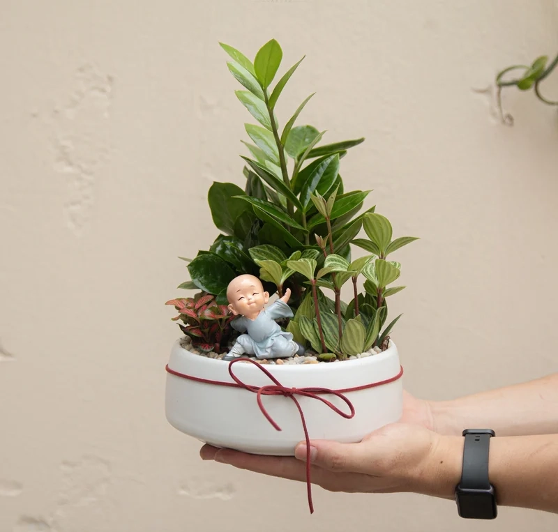 Bàn làm việc sinh động nhờ tiểu cảnh cây phong thủy để bàn