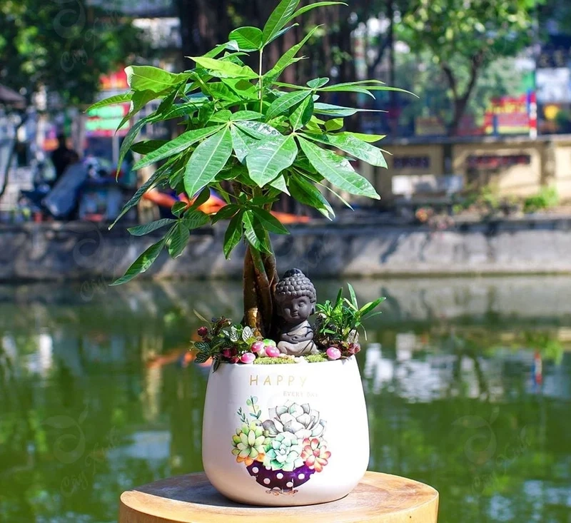 Ảnh nghệ thuật tinh tế của tiểu cảnh cây phong thủy ảnh nghệ thuật