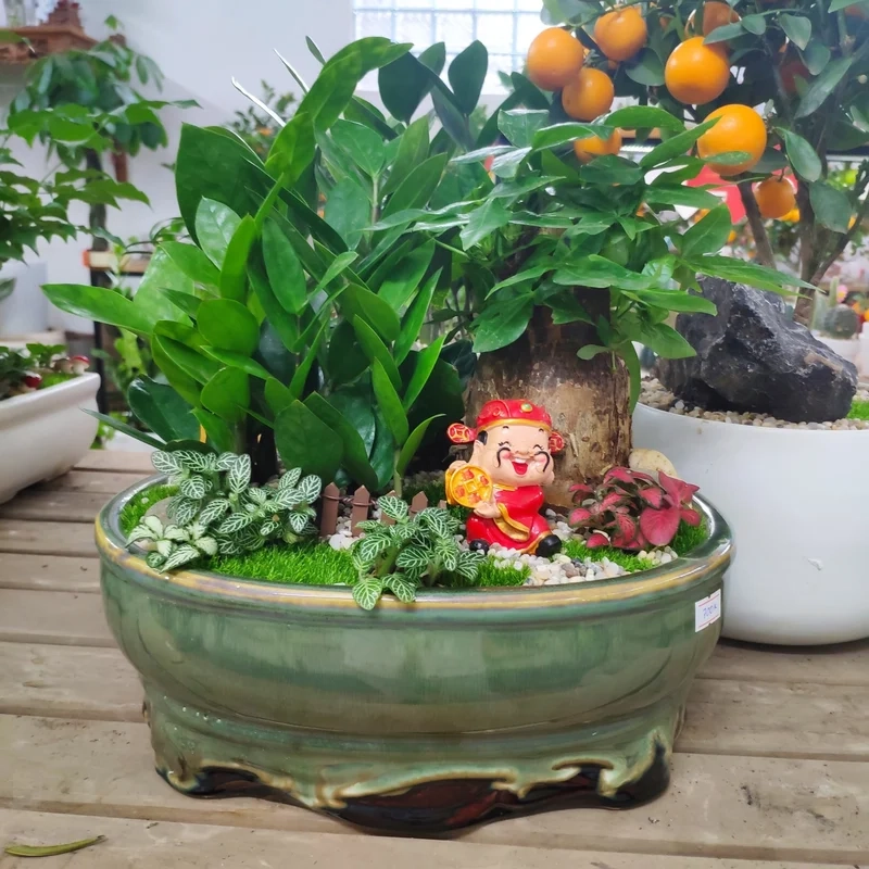 Phong cách Á Đông tinh tế từ tiểu cảnh cây phong thủy phong cách Á Đông