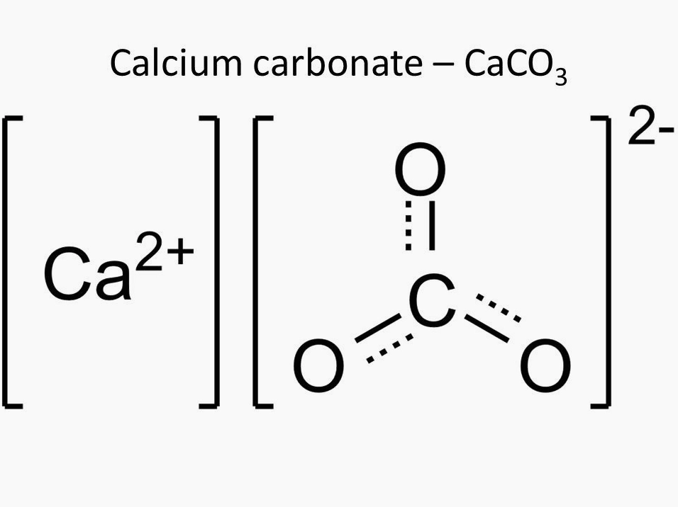 Ảnh lộc nhung trong nội dung dược liệu có nhắc đến thành phần calci carbonat