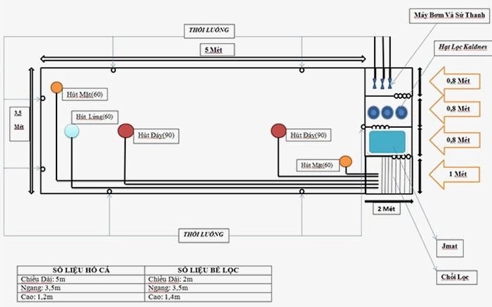Bản vẽ thiết kế kỹ thuật hồ Koi chi tiết thể hiện dòng nước và các khu vực chức năng hài hòa