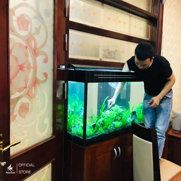 Bể cá được vệ sinh định kỳ để giữ vẻ xanh sạch cho rêu và cây thủy sinh