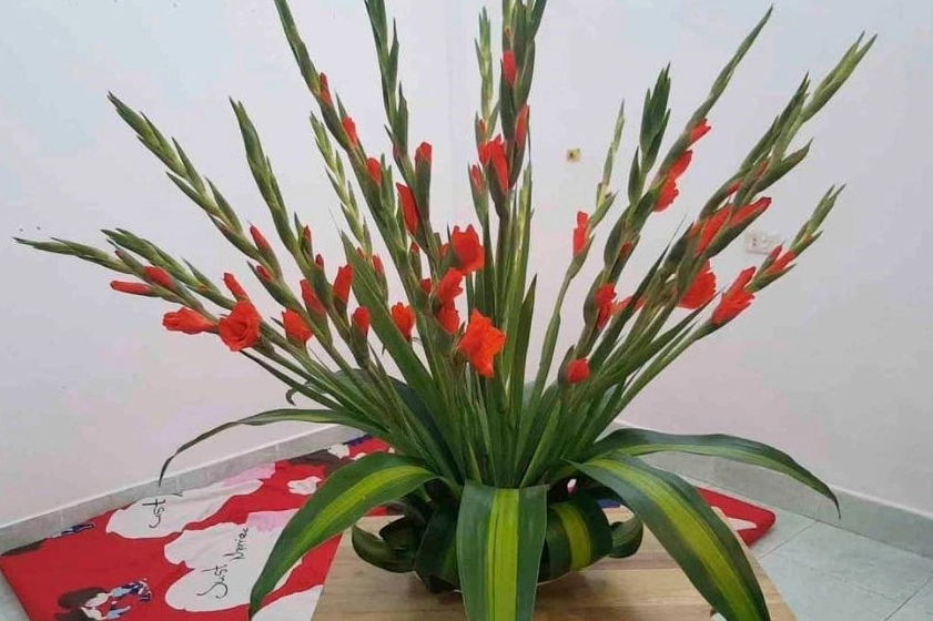 Bình Hoa Lay Ơn được cắm theo phong cách đơn giản, hài hòa và dễ ứng dụng trong không gian sống hiện đại