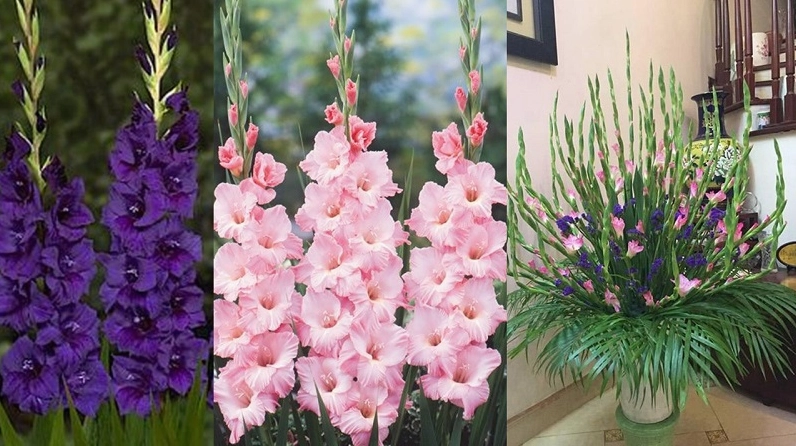 Bình Hoa Lay Ơn mang bố cục đầy đặn, gợi cảm giác sung túc, sum vầy và đầm ấm trong nhà