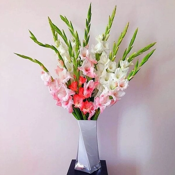 Bình Hoa Lay Ơn mix màu nổi bật với nhiều sắc độ đan xen, tạo hiệu ứng rực rỡ và cuốn mắt