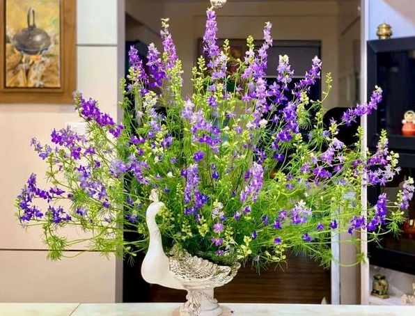 Bình Hoa Violet Đẹp được cắm gọn gàng với sắc hoa mềm và bố cục hài hòa