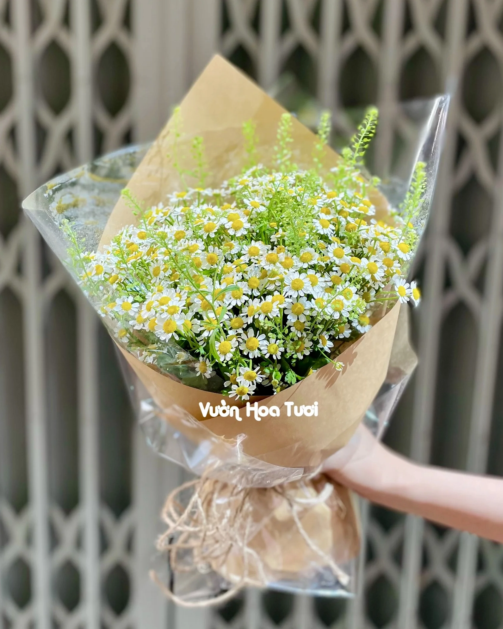 Bó Hoa Cúc Tana với tổng thể tự nhiên tươi sáng phù hợp xu hướng phối cùng baby
