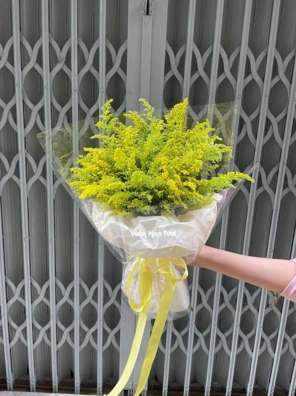 Bó hoa phong cách đơn giản có điểm nhấn mềm nhẹ tương tự những chùm baby trắng