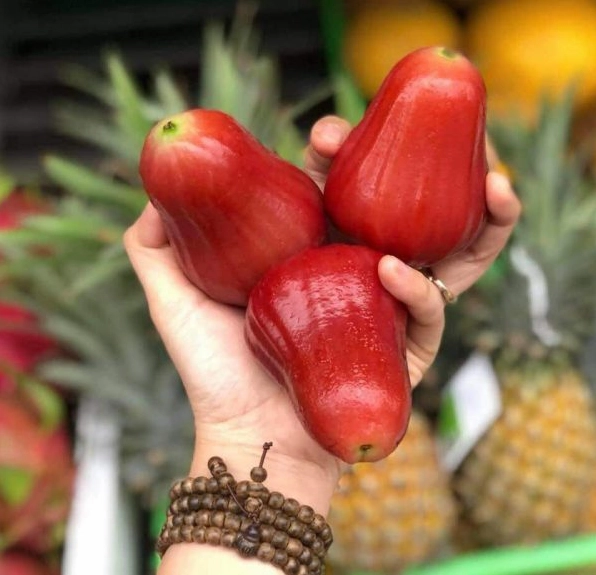 Cận cảnh quả roi chín màu đỏ hồng có dáng chuông mềm mại