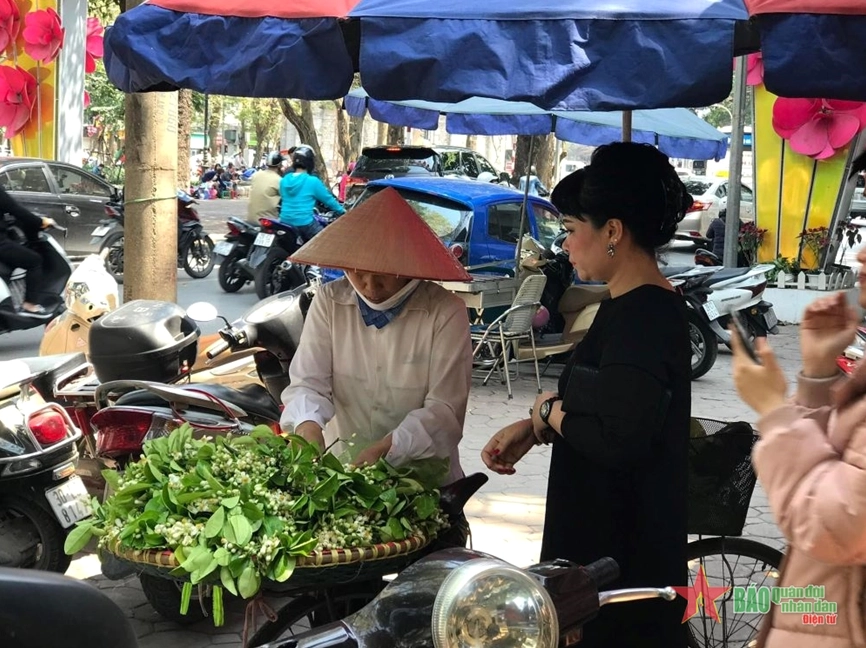 Cành Hoa bưởi nở sớm với những cánh trắng ngà và nhụy vàng nổi bật trên nền lá xanh non trong khu vườn yên tĩnh