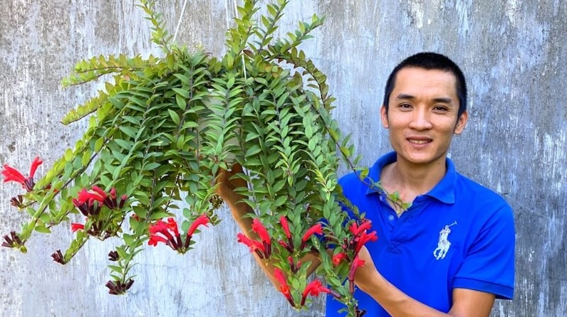 Cánh Hoa son môi căng mọng với màu sắc cuốn hút và bề mặt hoa mịn màng