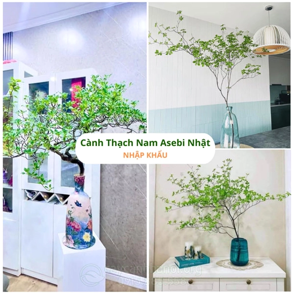 Cành hoa trong bố cục thiên nhiên nhẹ nhàng giúp mở rộng cảm hứng thẩm mỹ khi chiêm ngưỡng sắc hoa