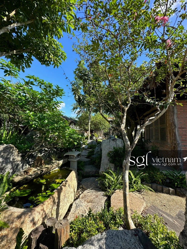 Cảnh quan cafe sân vườn Hồ Cốc Coffee Safari với bố cục mở và thảm xanh tự nhiên