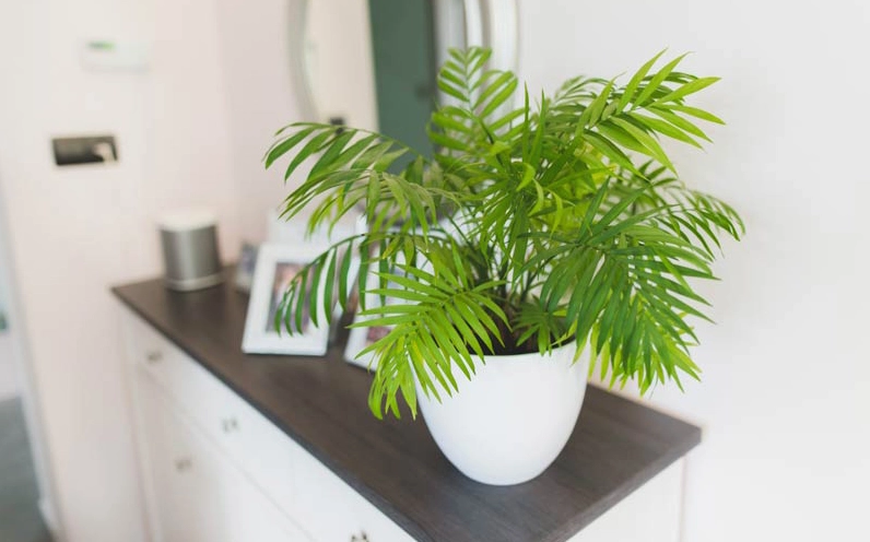 Cau tiểu trâm trang trí góc nhỏ trong nhà với sắc xanh dịu nhẹ