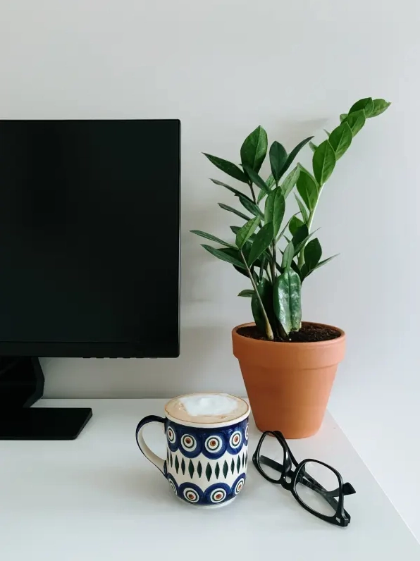 Cây cảnh trong chậu đặt cạnh màn hình máy tính, cốc cà phê và kính trên bàn làm việc