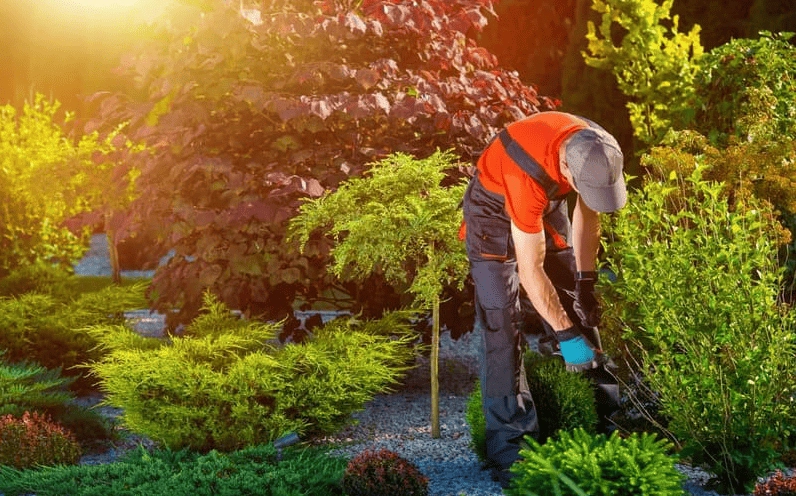 Cây cảnh và hoa trang trí trong sân vườn được chăm chút để tạo điểm nhấn mềm mại