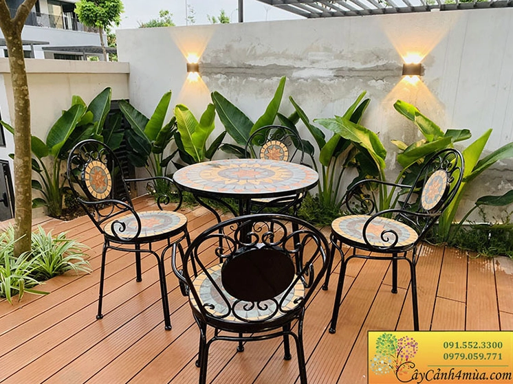 Cây Chuối Rẻ Quạt trồng dọc tường rào biệt thự tạo hàng xanh sang trọng và nhịp điệu cảnh quan đẹp mắt