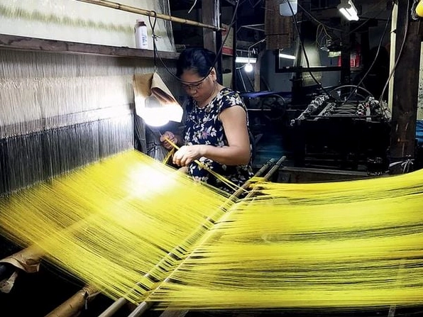 Cây dâu tằm gắn với ngành tằm tơ và đóng góp vào nghề may mặc truyền thống