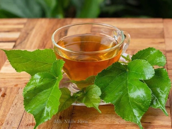 Cây dâu tằm thể hiện giá trị toàn diện từ quả lá thân đến rễ trong đời sống