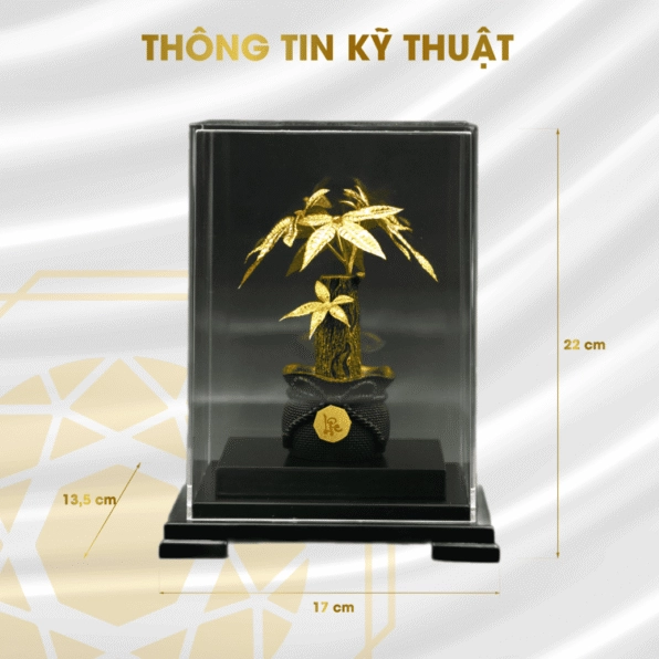 Cây kim tiền chữ lộc với tán xanh bóng và chi tiết trang trí mang ý nghĩa may mắn