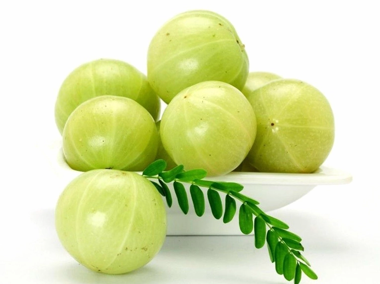Cây Me Rừng được chụp gần để làm rõ dáng lá và nét mộc mạc của cây thuốc