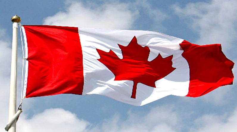 Cây phong lá đỏ gợi hình ảnh biểu tượng Canada với sắc lá đỏ rực đầy tự hào