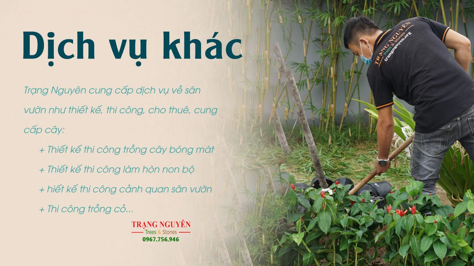Cây Phúc Lộc Thọ xuất hiện trong bối cảnh trưng bày cây cảnh chuyên nghiệp tạo cảm giác xanh mát và chỉn chu