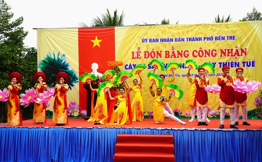 Cây Thiên Tuế cổ với thân sần sùi và tán lá xanh đậm tạo ấn tượng bền vững theo năm tháng