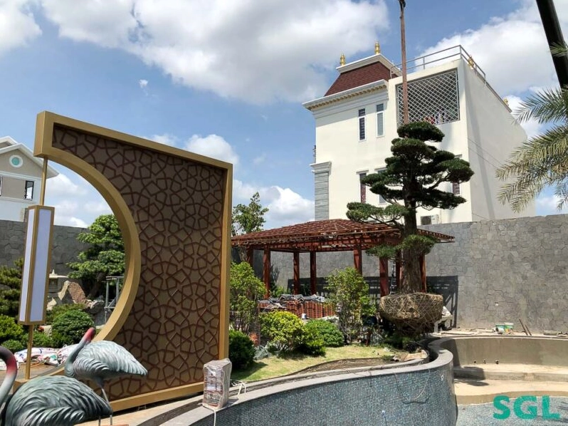 Cây Vạn Niên Tùng được trồng trong sân vườn biệt thự với dáng xanh nổi bật giữa lối đi sang trọng