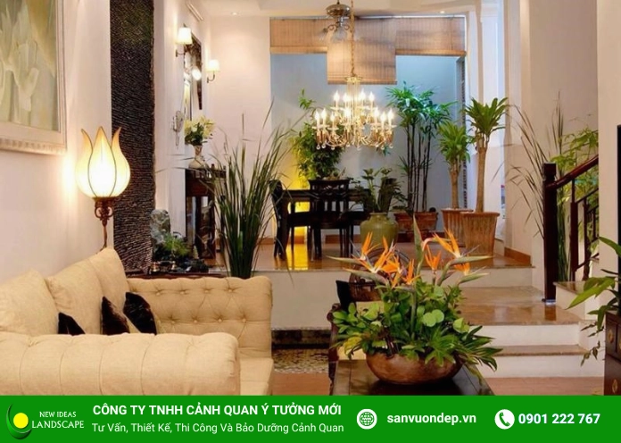 Cây xanh trong vườn được sắp xếp hợp lý quanh lối đi và khoảng nghỉ