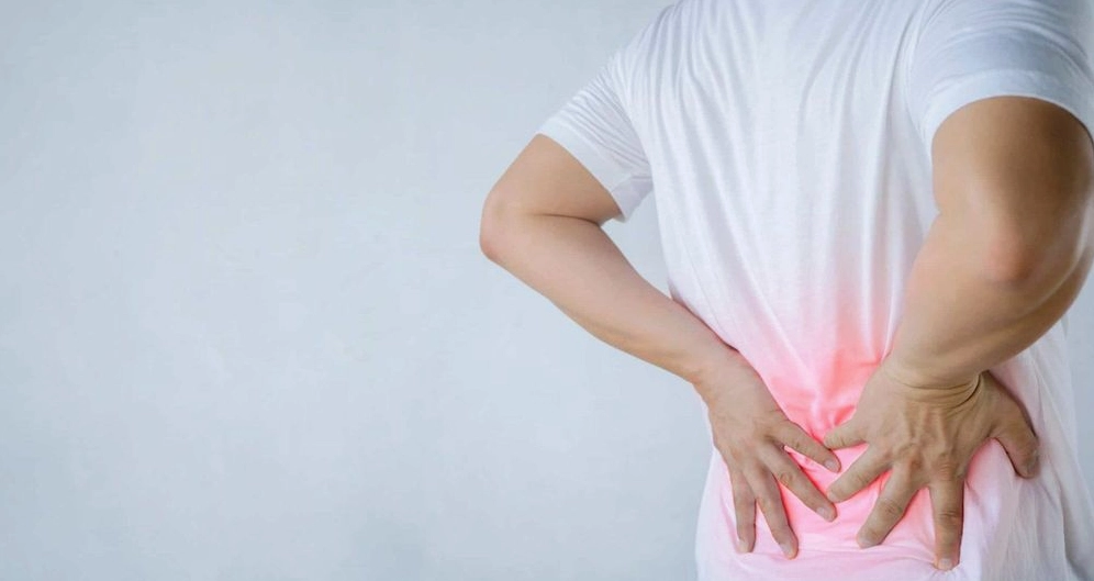 Cây xương rồng ba cạnh được nhắc đến với công dụng dân gian trong hỗ trợ đau lưng