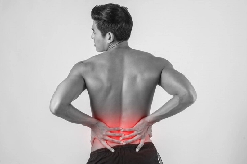 Cây xương rồng được nhắc đến trong kinh nghiệm dân gian hỗ trợ giảm đau lưng