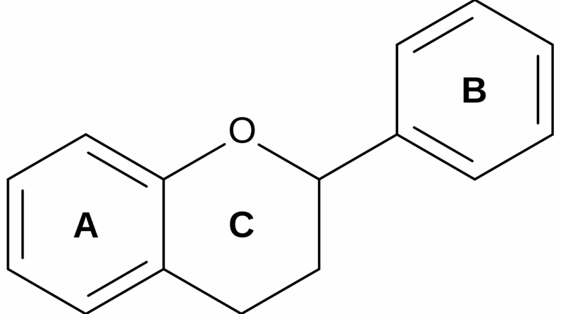 Cây Xuyến Chi mọc hoang với cụm hoa trắng ngần rực lên giữa thảm xanh tự nhiên dưới ánh sáng dịu