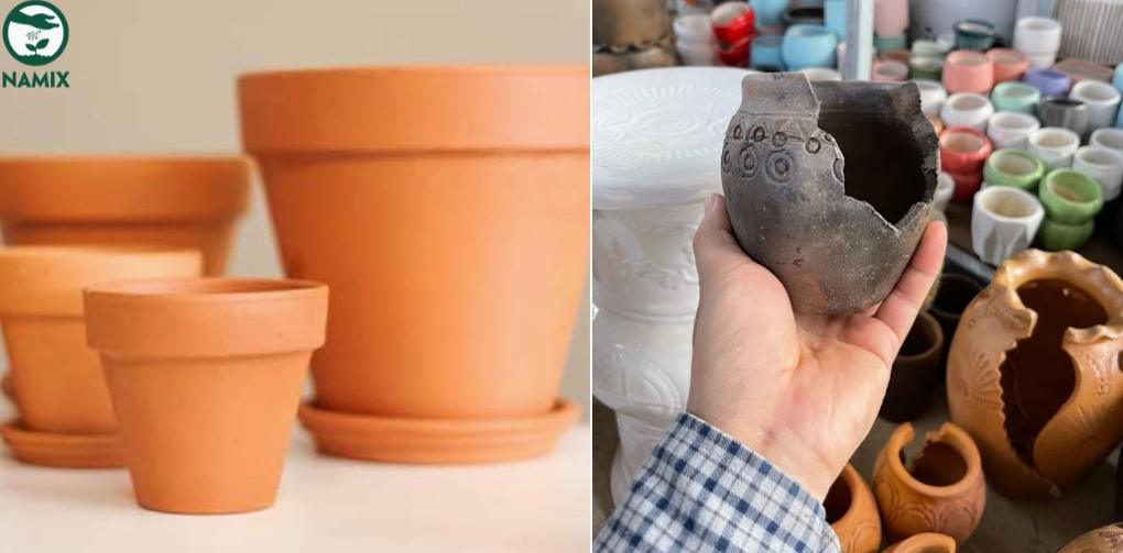 Chậu trồng cây phù hợp cho Sen Đá Bắp Cải giúp tôn dáng lá xoăn và giữ vẻ gọn xinh
